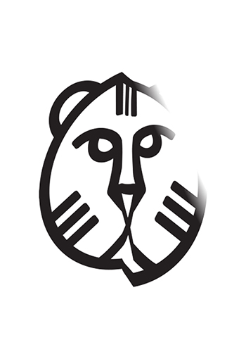 Festival International du film de Rotterdam