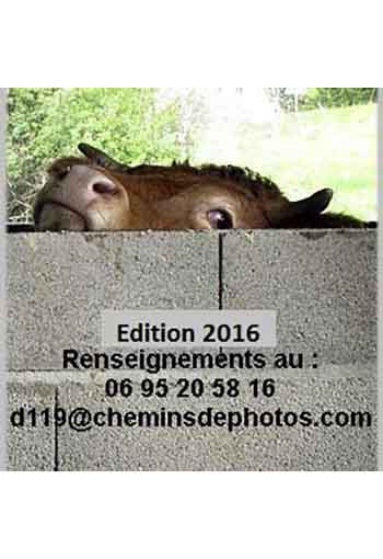 Festival de Chemins de photos