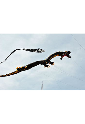 Festival du Cerf-Volant à Martigues