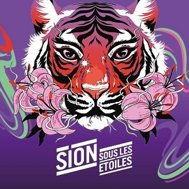 Sion sous les &eacute;toiles